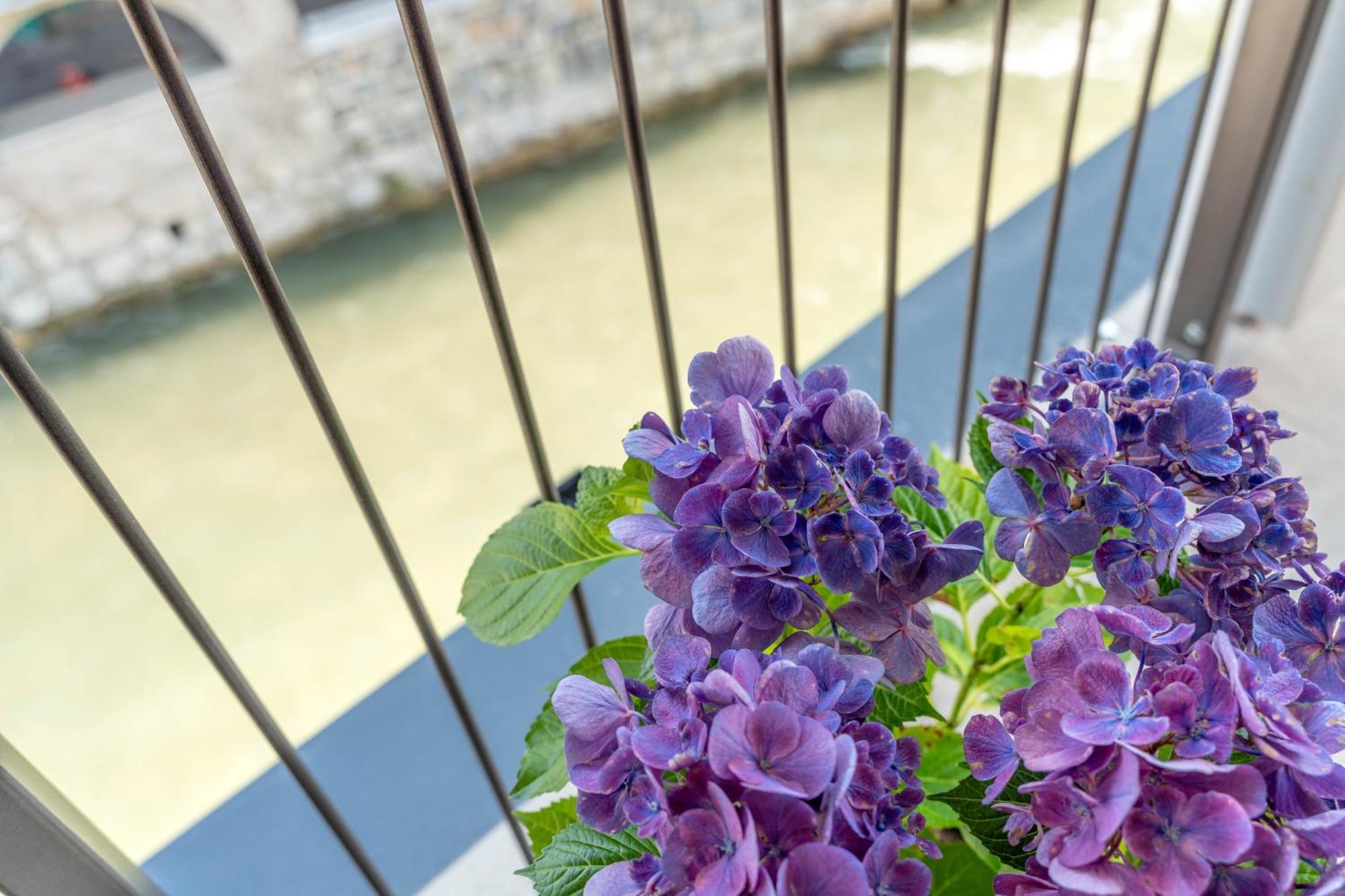 Luxury 2Br W/ River Castle View In Borgo Valsugana Apartment Екстериор снимка